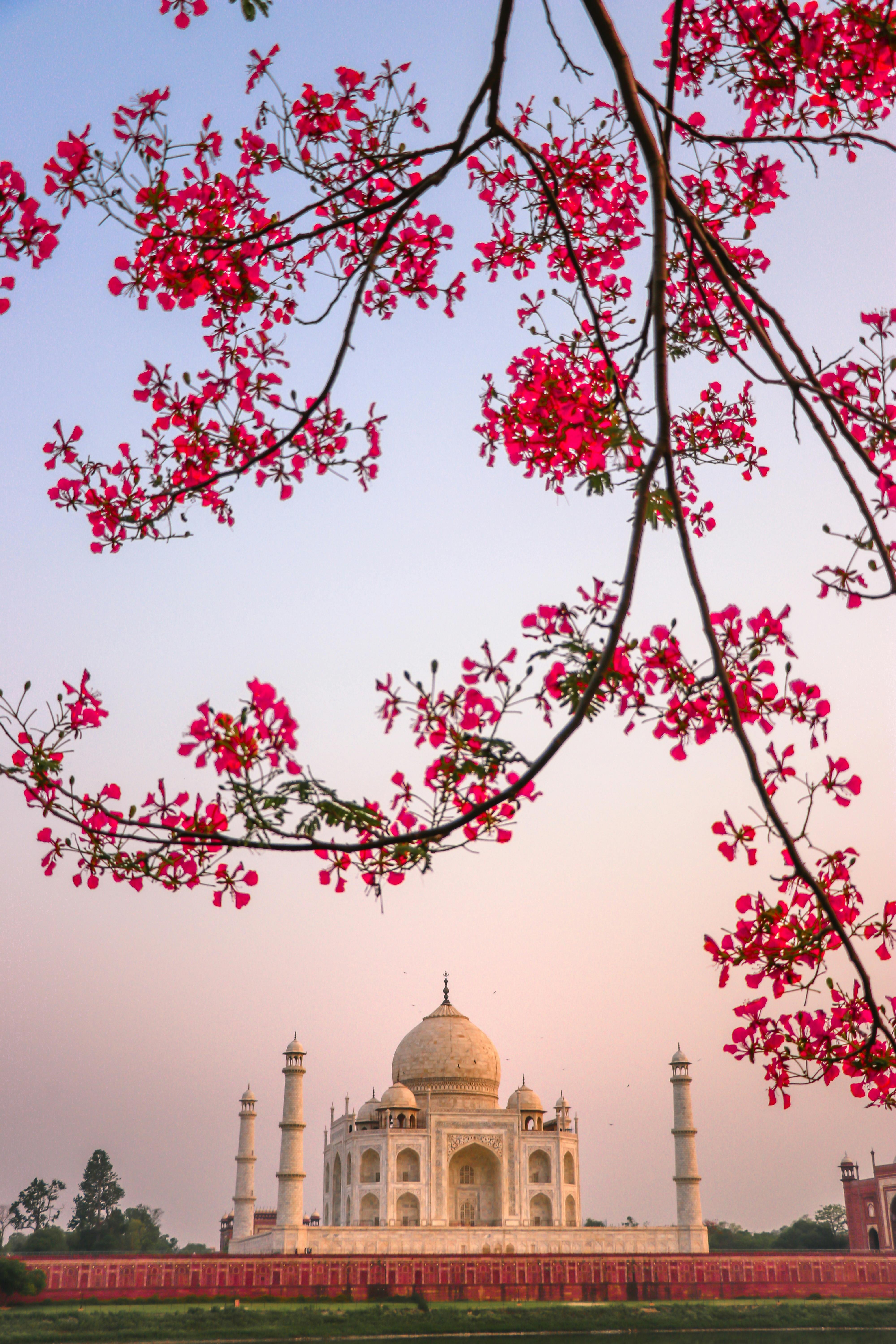 Agra